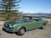 1966 Ford Mustang - Darlene Ray