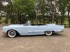 TerryPennyProschold1959Tbird